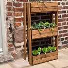 Charles Taylor Country Kitchen Herb Garden - Small