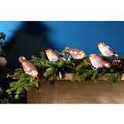 Robert Dyas 5 Acrylic Robin Lights With 30 Ice White LEDs/Clip-on
