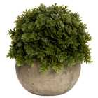 Hill Interiors Miniature Hebe Veronica Decoration Green/Brown (One Size)