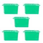 Wham Crystal 28L Storage Box and Lid Set Of 5 - Tint Leprechaun Green