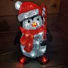 30cm Acrylic Christmas Penguin With Candy Cane 30 Ice White LEDs