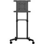StarTech.com Mobile TV Cart - Portable Rolling TV Stand