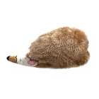 Nutmeg Hedgehog Pencil Case