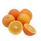 Natoora Spanish Organic Unwaxed Oranges 4 per pack