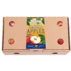 OrchardWorld Apple Box 8 per pack
