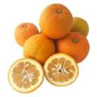 Natoora Organic Unwaxed Seville Oranges for Marmalade 1kg