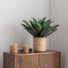 Artificial Agave in Bamboo Plant Pot