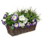 Greenbrokers Artificial Purple & White Petunia Rattan Window Box 58Cm/23In