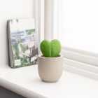 Artificial Sweetheart Plant in Cement Plant Pot