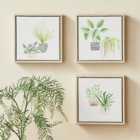 Set of 3 Plants Canvases