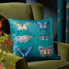 Butterfly Curator Cushion