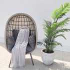 St Kitts Rattan Single Nest Chair