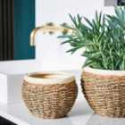 Ivyline Seagrass Pot Cover Natural Nested Set Of 2