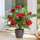 Faux Decor 40cm Regent's Roses - Ruby Red