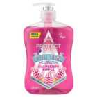 Astonish Protect & Care Anti-Bacterial Handwash Raspberry Ripple 600ml
