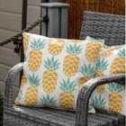 Streetwize Outdoor Pair of Scatter Cushions Light Up Pineapple