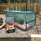 Gardenskill Pop Up Protection Cover For Grow Bags