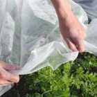 Gardenskill Frost Buster Plant And Crop Fleece Sheet - 6M X 2M