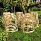 Gardenskill Bamboo Bell Cloche And Garden Plant Protection Cover Medium - Pack Of 5