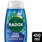 Radox Feel Awake Mood Boosting 2-in-1 Shower Gel & Shampoo 450ml