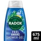 Radox Feel Awake Mood Boosting 2-in-1 Shower Gel & Shampoo 675ml