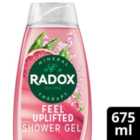 Radox Feel Uplifted Mood Boosting Shower Gel 675ml
