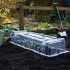 Garden Gear Mini Greenhouse 2 Cloches 4 Ends and Stakes