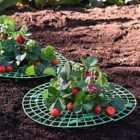 Garden Gear Strawberry Support x 10 Inc: