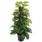 Premier Decorations Potted Artificial Cheese Plant