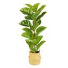 Premier Decorations Artificial Ficus Tree in Straw Basket Base