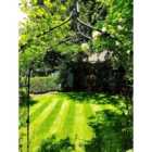 Boston Seeds BS Shady Place Grass Seed (1 x 5kg)