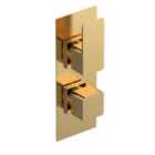 Nuie Twin Thermostatic Valve - Brushed Brass