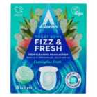 Astonish Fizz N Fresh Toilet Tablets Euclayptus 8 Pack