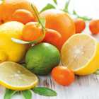 Thompson and Morgan Citrus Tree Collection - Lemon and Orange