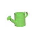Small Zinc Childrens Watering Can Flower Plant Pot Garden Watering Can Bright Green