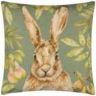 Evans Lichfield Grove Hare Outdoor Polyester Filled Cushion Olive