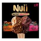 Nuii Salted Caramel and Nordic Berry Mini Ice Creams 6 x 55ml