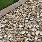 Mainland Aggregates Cockle Shell Mulch
