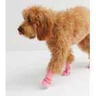 Pink Sass Queen Logo Dog Socks