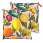 Evans Lichfield Citrus Outdoor Polyester Filled Floor Cushions Twin Pack Multi