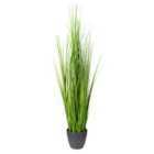 The Outdoor Living Company 120cm Grass in Plastic Pot
