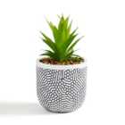 Artificial Succulent in Black and White Dotted Plant Pot