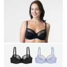 Dorina Curves 2 Pack Black and Pale Blue Wired Bras