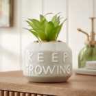 Artificial Succulent in Keep Growing Plant Pot