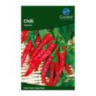 Chilli Cayenne (Capsicum annuum)