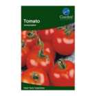 Tomato Moneymaker (Lycopersicon lycopersicum L)