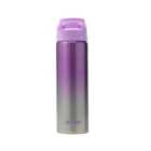 SMASH Ombre Stainless Steel Bottle