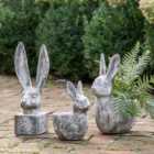 Allesley Small Hare Indoor Outdoor Ornament