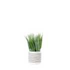 Artificial Set of 2 Torrance Grass in Wavy Plant Pot