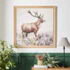 Stag Framed Canvas
